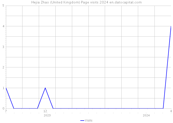 Hejia Zhao (United Kingdom) Page visits 2024 