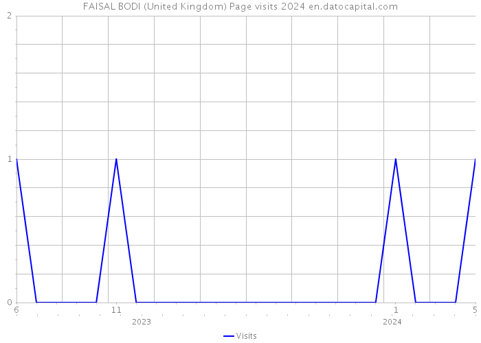 FAISAL BODI (United Kingdom) Page visits 2024 