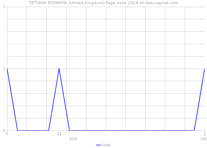 TETIANA PIDHAINA (United Kingdom) Page visits 2024 