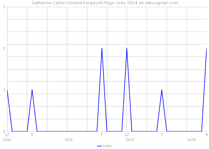 Catharina Calleri (United Kingdom) Page visits 2024 