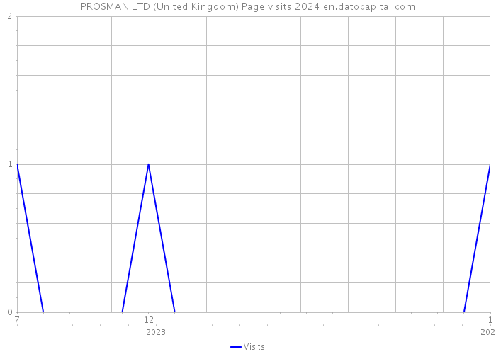 PROSMAN LTD (United Kingdom) Page visits 2024 