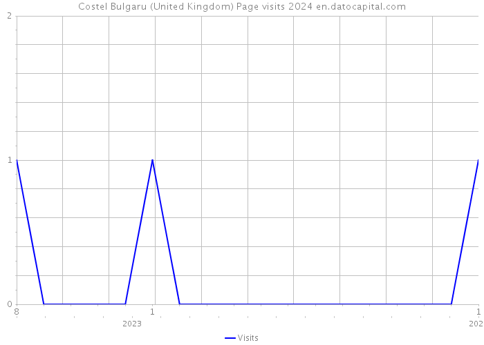 Costel Bulgaru (United Kingdom) Page visits 2024 