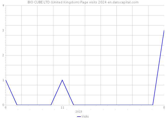 BIO CUBE LTD (United Kingdom) Page visits 2024 