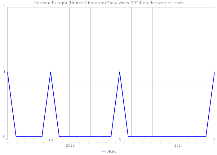 Verdant Rungta (United Kingdom) Page visits 2024 