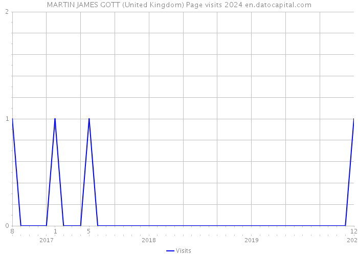 MARTIN JAMES GOTT (United Kingdom) Page visits 2024 