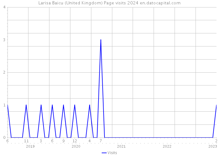 Larisa Baicu (United Kingdom) Page visits 2024 
