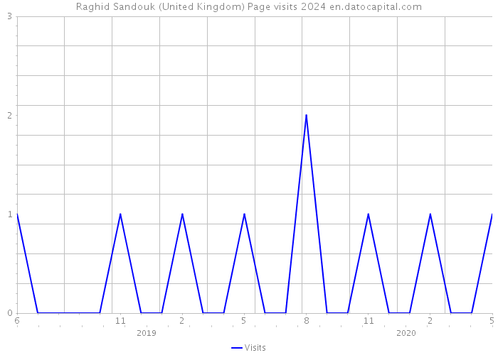 Raghid Sandouk (United Kingdom) Page visits 2024 