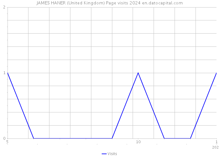 JAMES HANER (United Kingdom) Page visits 2024 