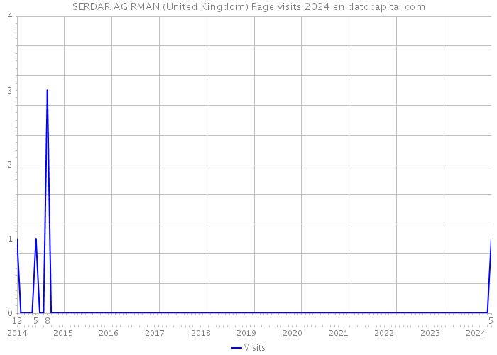 SERDAR AGIRMAN (United Kingdom) Page visits 2024 