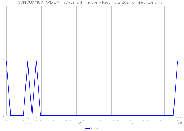 COPIOUS MUSTARD LIMITED (United Kingdom) Page visits 2024 