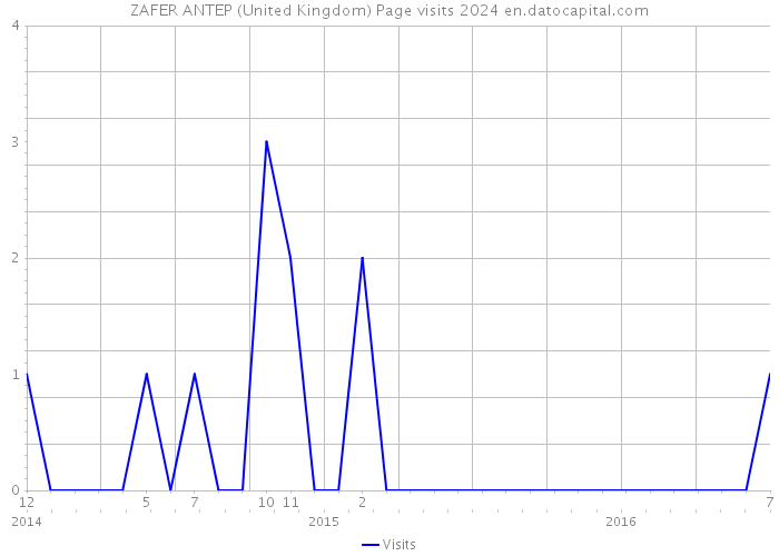 ZAFER ANTEP (United Kingdom) Page visits 2024 