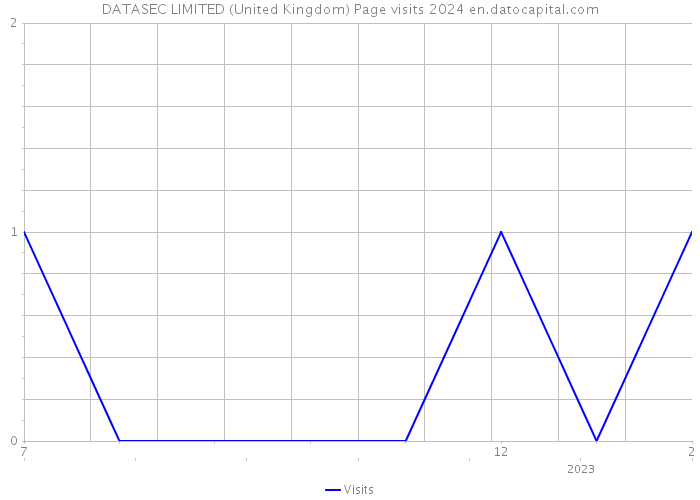 DATASEC LIMITED (United Kingdom) Page visits 2024 