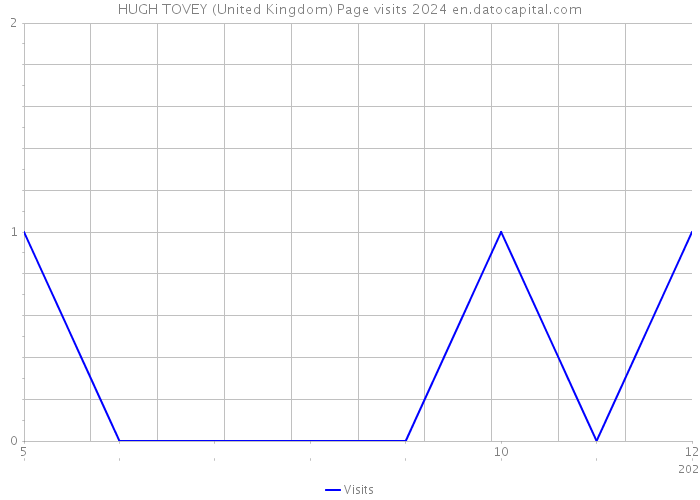 HUGH TOVEY (United Kingdom) Page visits 2024 