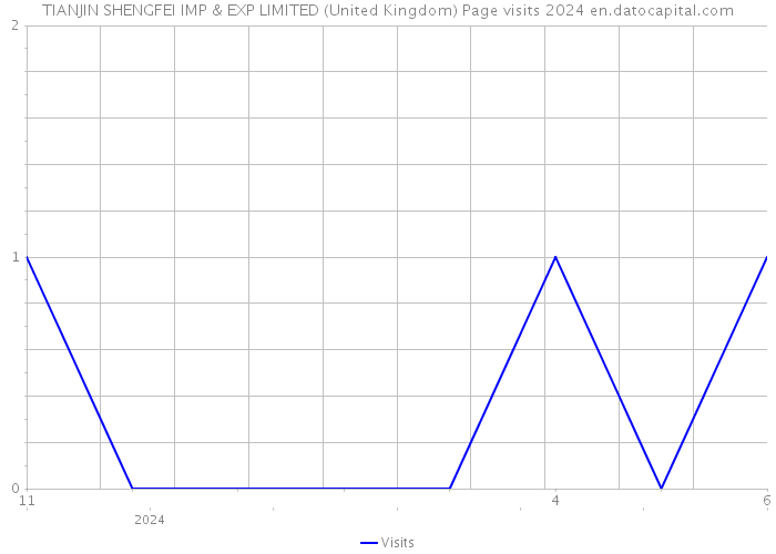 TIANJIN SHENGFEI IMP & EXP LIMITED (United Kingdom) Page visits 2024 