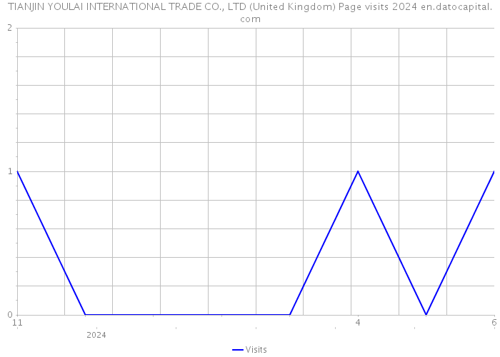 TIANJIN YOULAI INTERNATIONAL TRADE CO., LTD (United Kingdom) Page visits 2024 