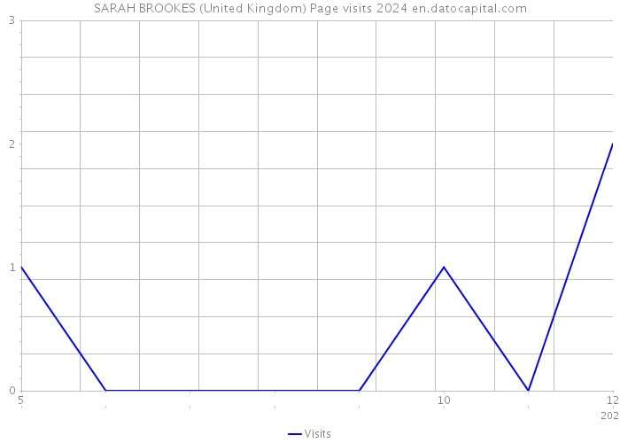 SARAH BROOKES (United Kingdom) Page visits 2024 