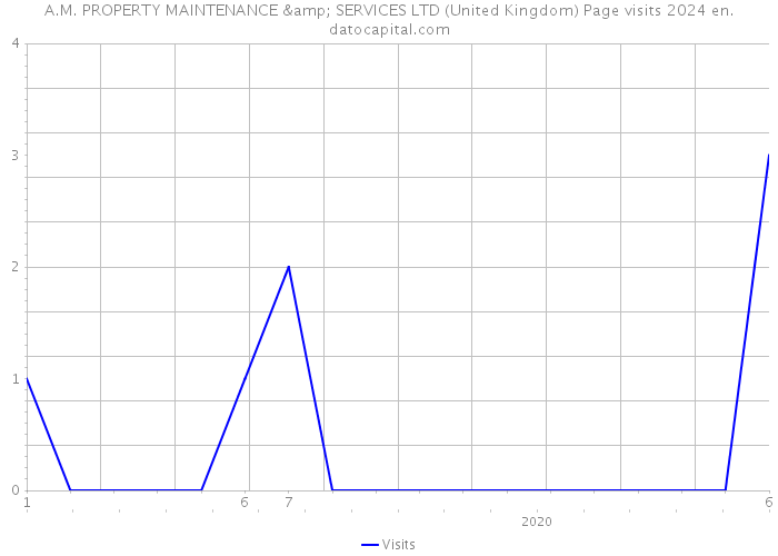 A.M. PROPERTY MAINTENANCE & SERVICES LTD (United Kingdom) Page visits 2024 