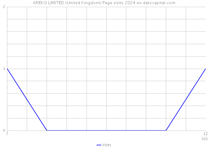 AREKO LIMITED (United Kingdom) Page visits 2024 