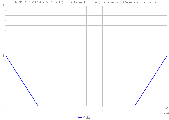 BS PROPERTY MANAGEMENT (NE) LTD (United Kingdom) Page visits 2024 
