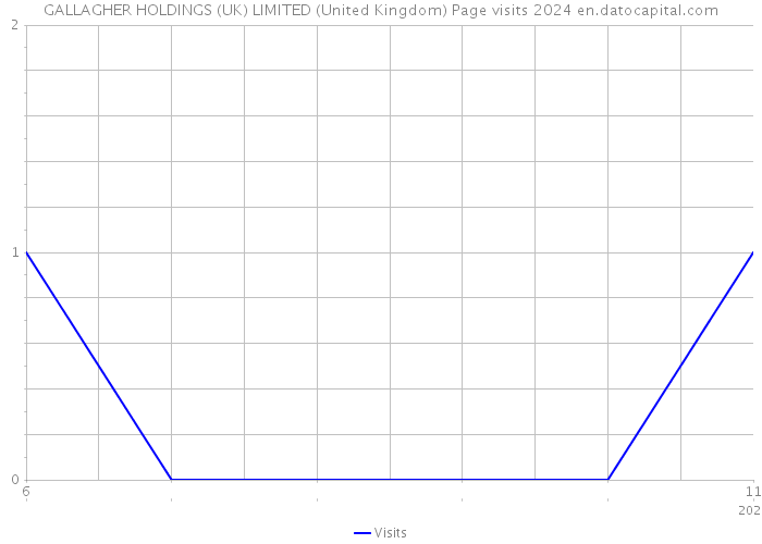 GALLAGHER HOLDINGS (UK) LIMITED (United Kingdom) Page visits 2024 
