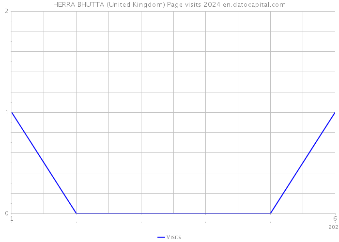 HERRA BHUTTA (United Kingdom) Page visits 2024 
