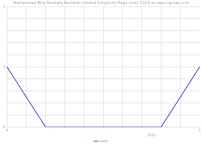 Muhammad Bilal Mustafa Barkatali (United Kingdom) Page visits 2024 