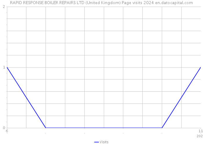 RAPID RESPONSE BOILER REPAIRS LTD (United Kingdom) Page visits 2024 