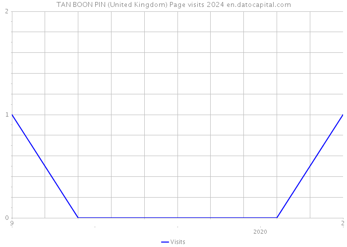 TAN BOON PIN (United Kingdom) Page visits 2024 