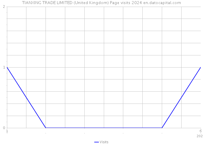 TIANXING TRADE LIMITED (United Kingdom) Page visits 2024 