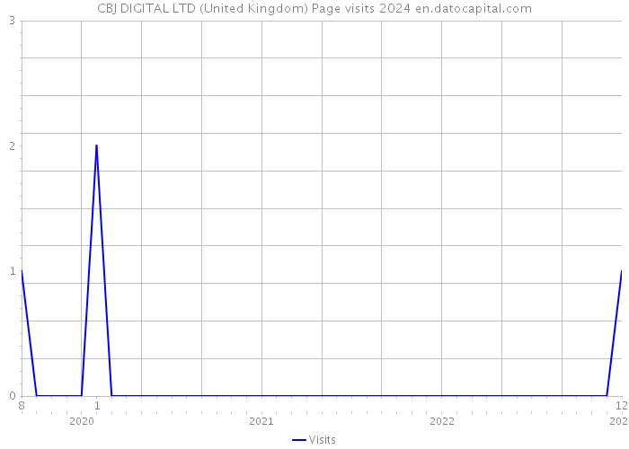 CBJ DIGITAL LTD (United Kingdom) Page visits 2024 