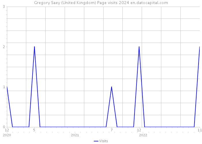 Gregory Saey (United Kingdom) Page visits 2024 