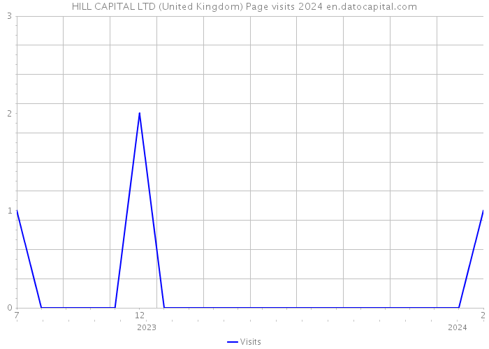 HILL CAPITAL LTD (United Kingdom) Page visits 2024 