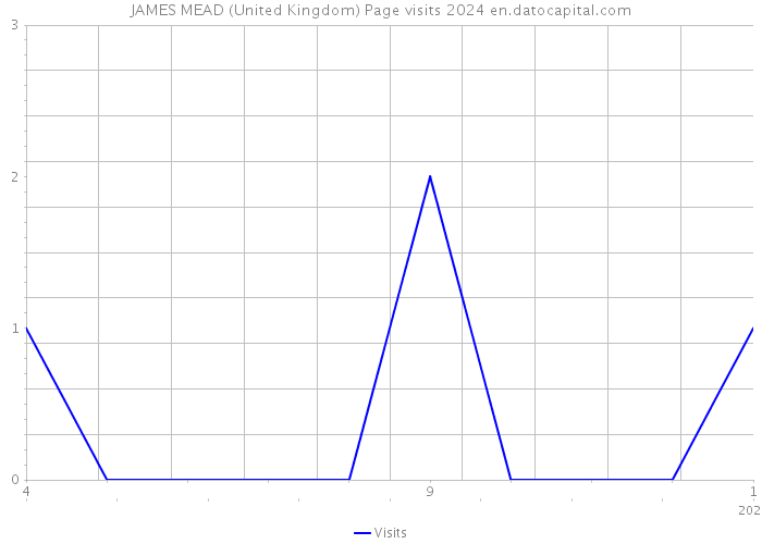 JAMES MEAD (United Kingdom) Page visits 2024 
