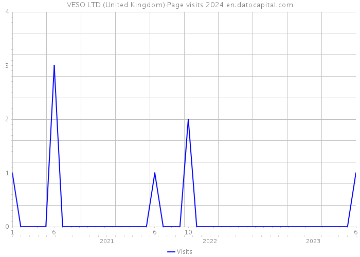VESO LTD (United Kingdom) Page visits 2024 