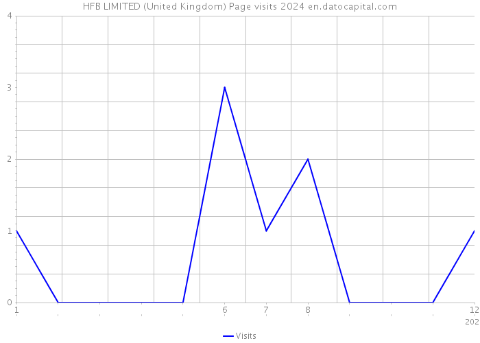 HFB LIMITED (United Kingdom) Page visits 2024 