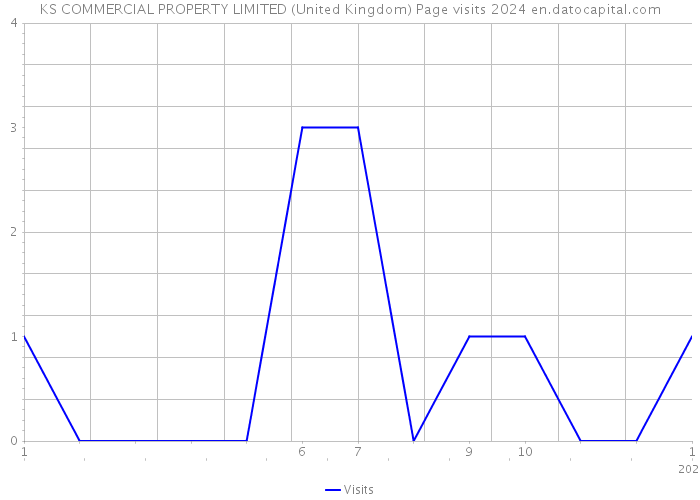 KS COMMERCIAL PROPERTY LIMITED (United Kingdom) Page visits 2024 