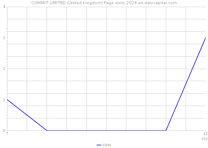 COMMIT LIMITED (United Kingdom) Page visits 2024 