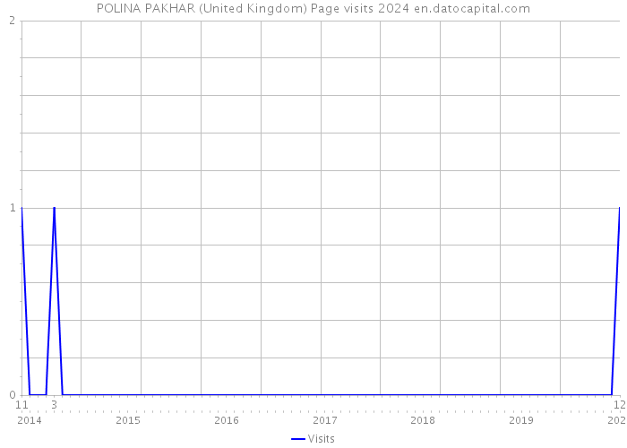POLINA PAKHAR (United Kingdom) Page visits 2024 