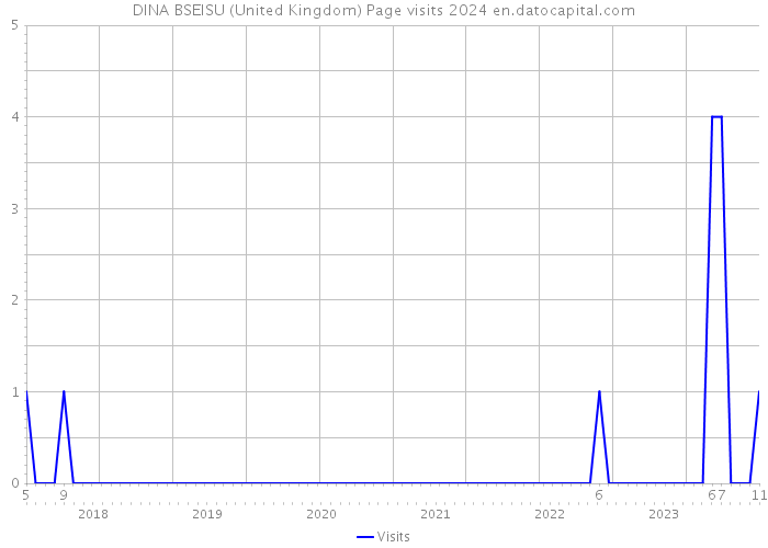 DINA BSEISU (United Kingdom) Page visits 2024 
