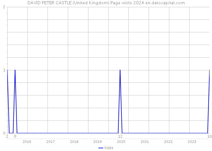 DAVID PETER CASTLE (United Kingdom) Page visits 2024 