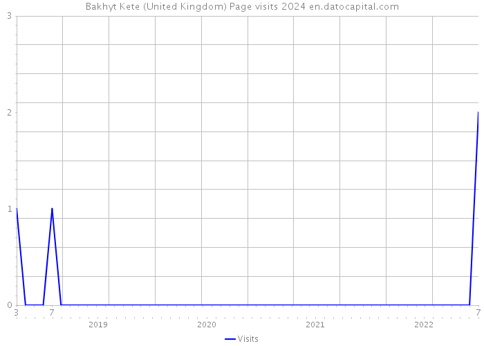 Bakhyt Kete (United Kingdom) Page visits 2024 