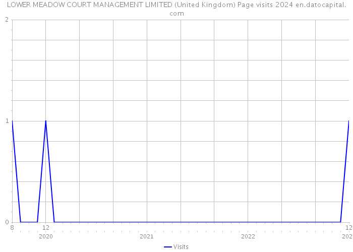 LOWER MEADOW COURT MANAGEMENT LIMITED (United Kingdom) Page visits 2024 