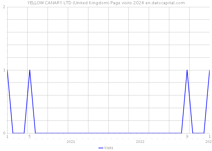 YELLOW CANARY LTD (United Kingdom) Page visits 2024 