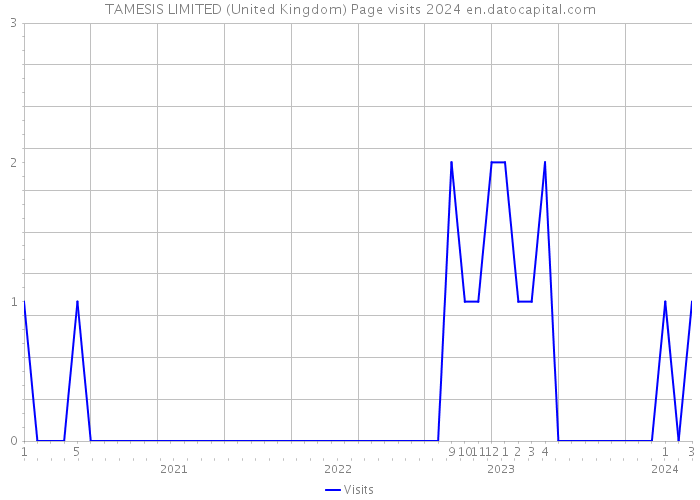 TAMESIS LIMITED (United Kingdom) Page visits 2024 