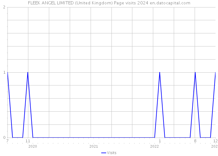 FLEEK ANGEL LIMITED (United Kingdom) Page visits 2024 