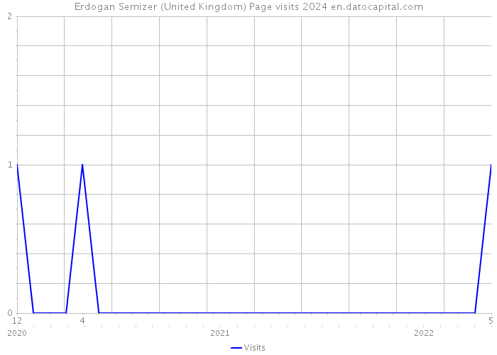 Erdogan Semizer (United Kingdom) Page visits 2024 