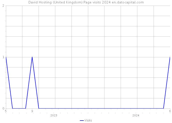 David Hosting (United Kingdom) Page visits 2024 