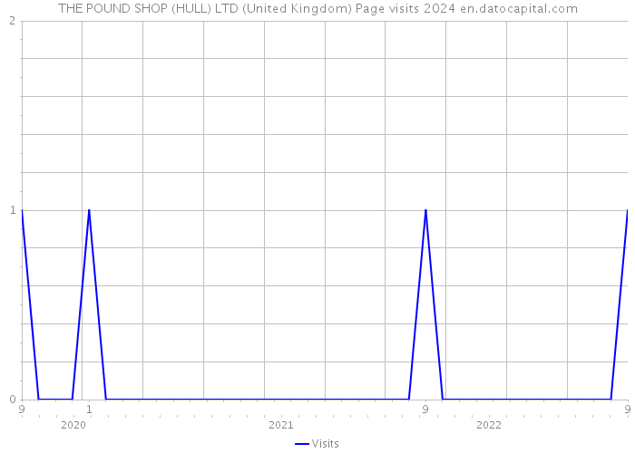 THE POUND SHOP (HULL) LTD (United Kingdom) Page visits 2024 
