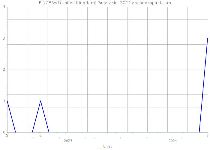 BINGE WU (United Kingdom) Page visits 2024 