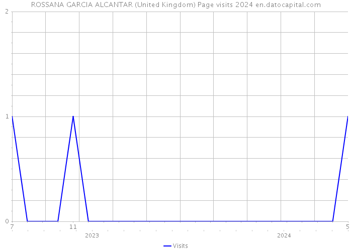 ROSSANA GARCIA ALCANTAR (United Kingdom) Page visits 2024 